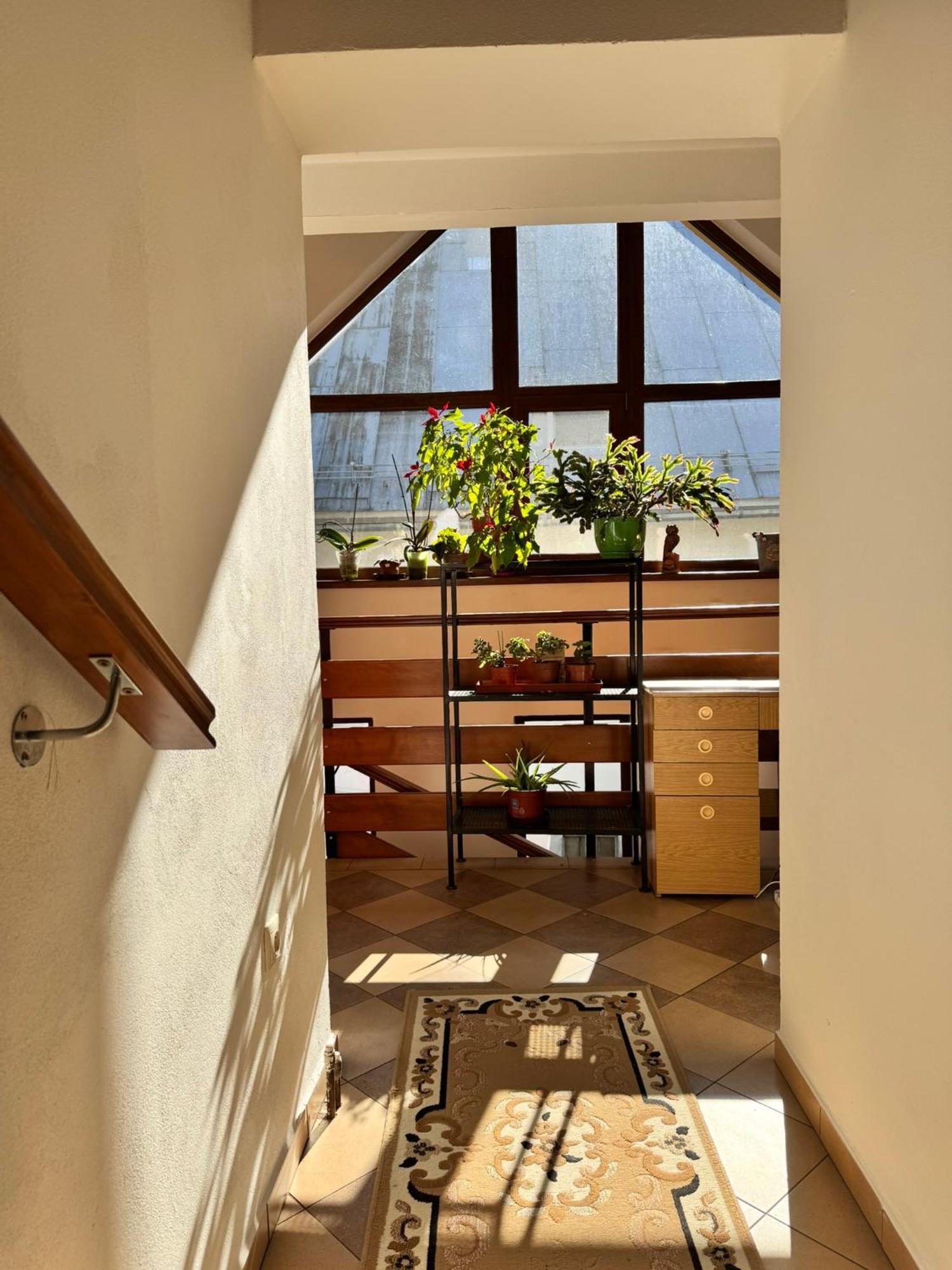 Apartmany Kenka Spisska Stara Ves Exterior photo